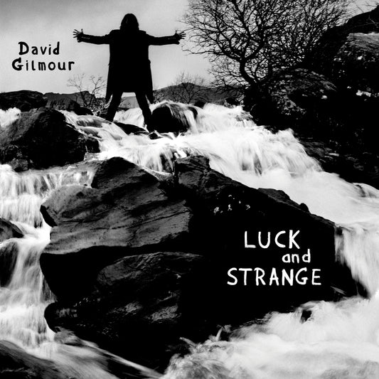Luck and Strange | Digital Album Download
